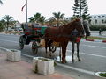 Kutsche, 2007 gesehen in Hammamet-Süd, Tunesien Using 36° 21′ 49,4″ N, 10° 32′ 9,3″ O36.36371110.535911