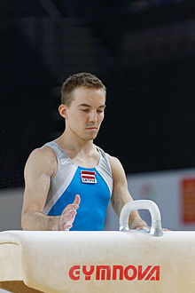 2015 Avrupa Artistik Jimnastik Şampiyonası - Kulplu beygir - Dmitrijs Trefilovs 01.jpg