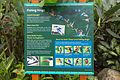 * Nomination Information board about the birds. Jurong Bird Park. Jurong, West Region, Singapore. --Halavar 10:37, 1 March 2017 (UTC) * Promotion OK for me. --Basotxerri 16:50, 1 March 2017 (UTC)