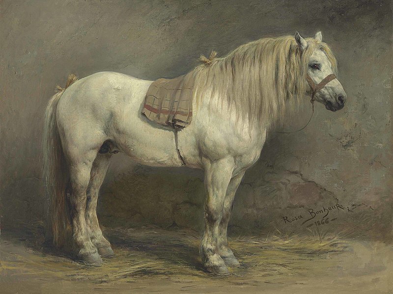 File:2017 NYR 14141 0079 rosa bonheur a white horse).jpg