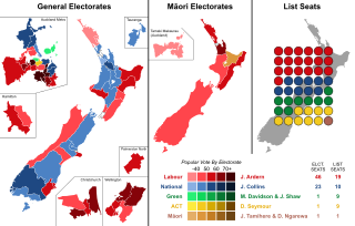 <span class="mw-page-title-main">Results of the 2020 New Zealand general election</span>