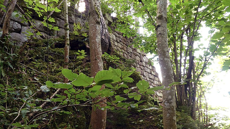 File:20210901 Burgruine Ramstein Mauerreste.jpg