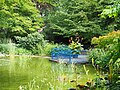 Botanischer Garten, Blick auf einen Teich.