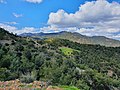 Troodos Mountains