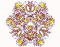 Thumbnail for Sulfate adenylyltransferase