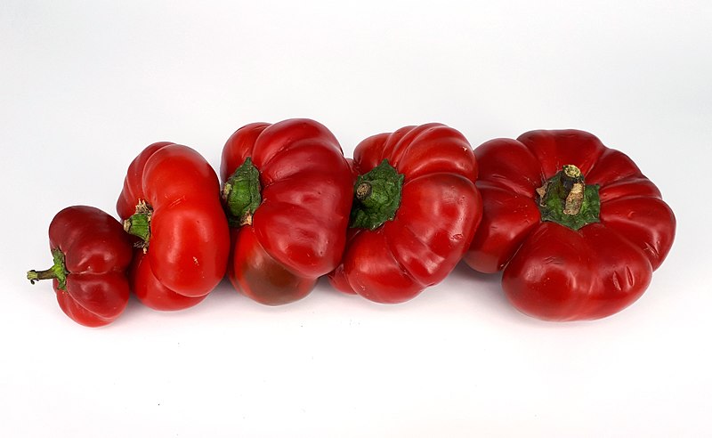 File:5 x Flat red bell pepper 2017.jpg