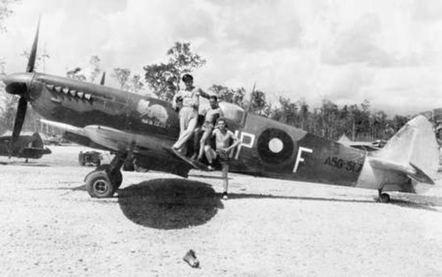 A No. 79 Squadron pilot (wearing uniform) and two members of the squadron's ground crew posing with a Spitfire Mk. VIII at Morotai during September 19