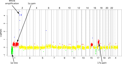 File:ACGH profile of the IMR32 neuroblastoma cell line.svg