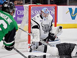 AHL Texas Stars vs San Antonio Rampage.jpg