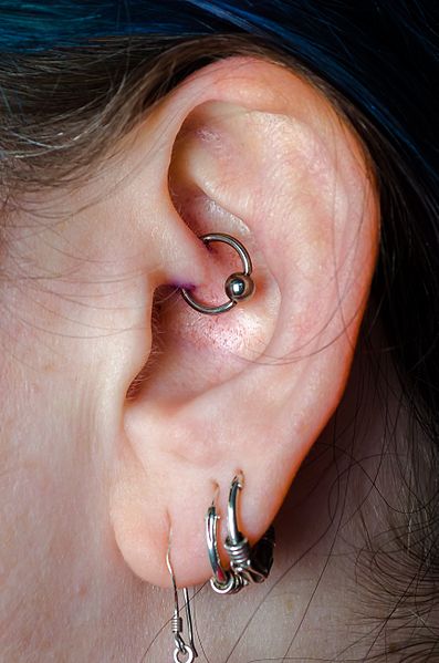 File:A woman's ear showing recent Daith Piercing.jpg