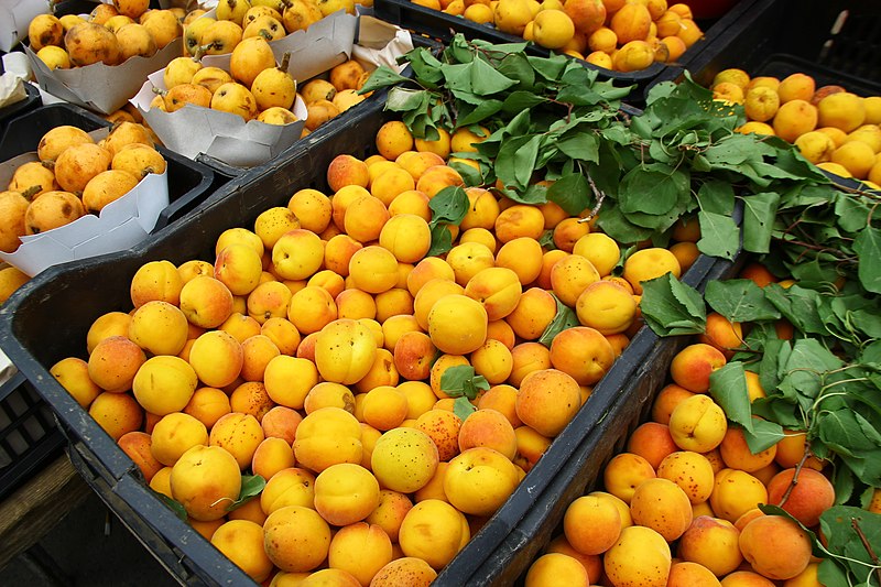 File:Abricot marché de la casbah d'Alger.JPG