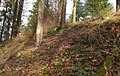 Hauptwall des Abschnittswalls Kröver Burgberg mit Blick aus dem Vorgraben.