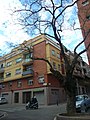 Català: Acàcia del Japó del c. Mas Duran (Barcelonès) (Barcelona). ca:Sophora japonica. No homologat. This is a a photo of a protected or outstanding tree in Catalonia, Spain, with id: MA-13.980.07 Object location 41° 26′ 34.66″ N, 2° 10′ 50.09″ E  View all coordinates using: OpenStreetMap