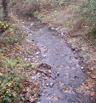 <span class="mw-page-title-main">Adobe Creek (Sonoma County, California)</span> River in California, United States