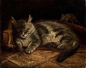 Nukkuva harmaa kissa ja rotta