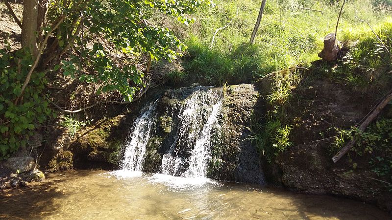 File:Aechekiwasserfall Klee Berneck.jpg