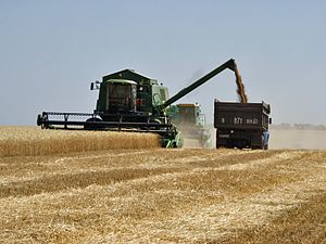 Agriculture En Russie