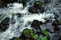 Agua entre las rocas..JPG