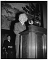 Albert Einstein speaking LCCN2016877613.jpg