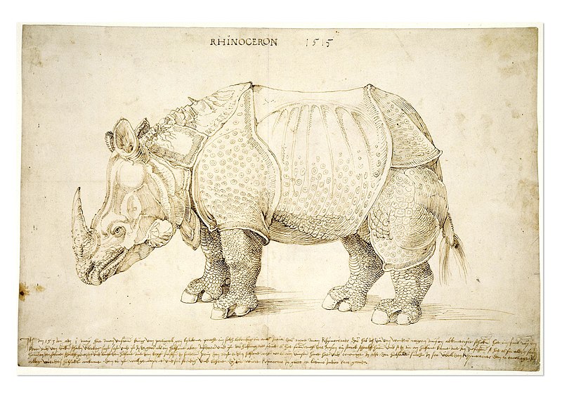 File:Albrecht Dürer - Rhinoceros (preparatory study) 1515 - BM SL,5218.161 -01.jpg