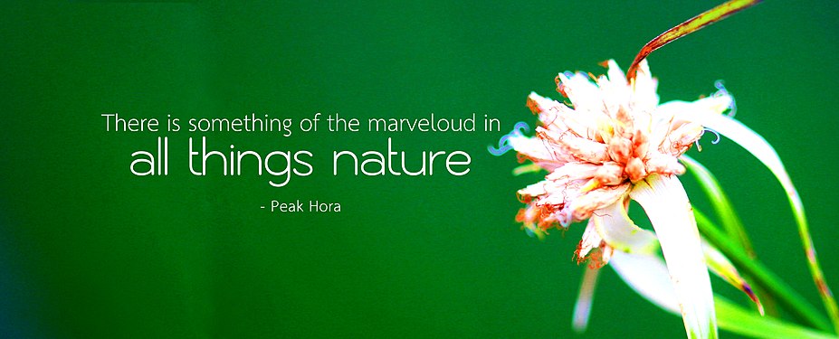 All things nature