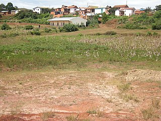 <span class="mw-page-title-main">Arivonimamo</span> Place in Itasy, Madagascar