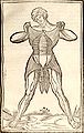 Jacopo Berengario da Carpi (ca.1460-ca.1530): Anatomia Carpi. Isagoge breves perlucide ac uberime, in Anatomiam humani corporis... Bologna, 1535. Woodcut. National Library of Medicine.