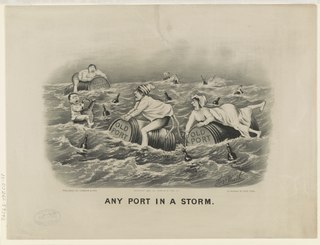 <span class="mw-page-title-main">Any port in a storm</span> English proverb