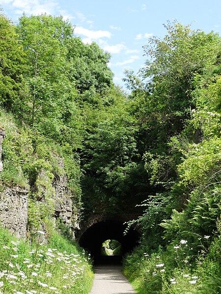 File:Approaching Hopton Tunnel - geograph.org.uk - 4563380.jpg