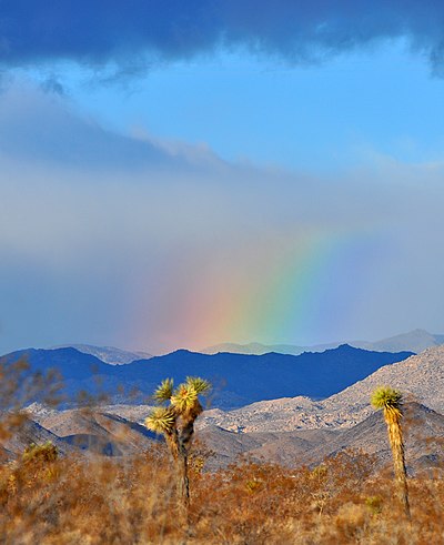 image of a rainbow with mountain view