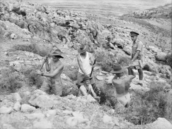 Men from the 2/31st Battalion dig a section defence post in Syria, 1941