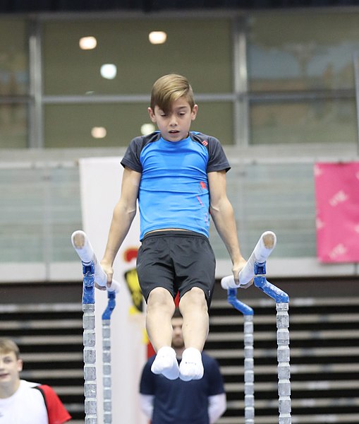 File:Austrian Future Cup 2018-11-23 Training Afternoon Parallel bars (Martin Rulsch) 0350.jpg