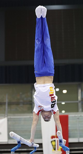 File:Austrian Future Cup 2018-11-23 Training Afternoon Parallel bars (Martin Rulsch) 0870.jpg