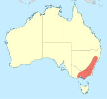 Mapa distribuce Austropetalia.svg