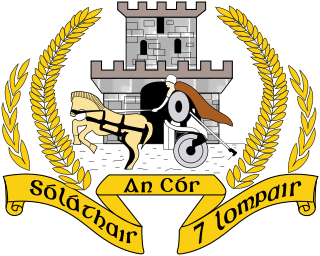 <span class="mw-page-title-main">Transport Corps (Ireland)</span> Military unit