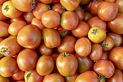 Bangladeshi Tomato.jpg