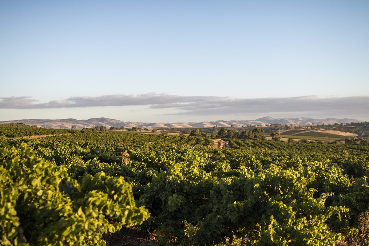 Barossa Valley