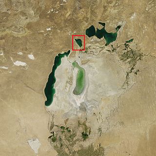 <span class="mw-page-title-main">Barsakelmes Lake</span> Lake in the former Aral Sea