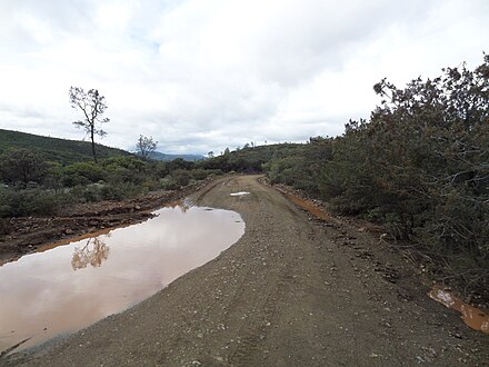 Bartlett Springs Road near Indian Valley Reservoir. January 2016.