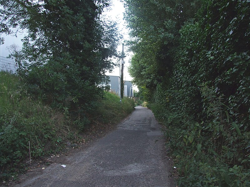 File:Bell Lane, Ditton - geograph.org.uk - 3613279.jpg