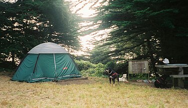 Bicentennial Campground arranged around a small clearing, with each site accommodating a maximum of two people. Bicentennial Campground San Francisco.JPG