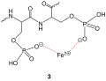 Bindung Fe Phosvitin.svg