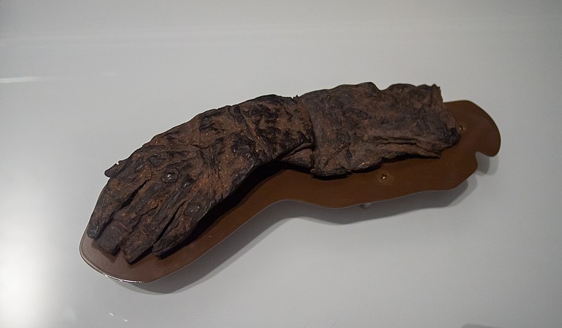 File:Bog body hand, Drents Museum 8951.jpg