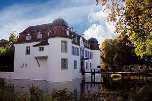 Bottmingen Castle