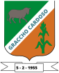 BrasÃ£o de Graccho Cardoso