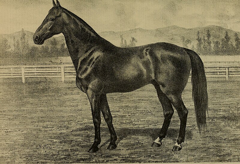 File:Breeder and sportsman (1889) (20221312478).jpg