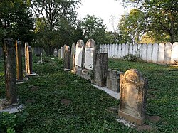 Brid (Boród) Jewish cemetery -01.jpg