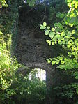 Ruine Falkenberg (Wabern)