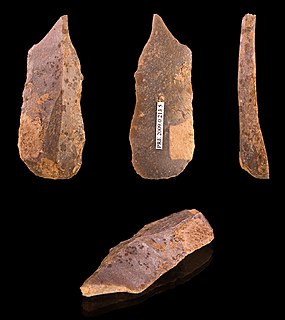 Burin (lithic flake) type of Stone Age tool