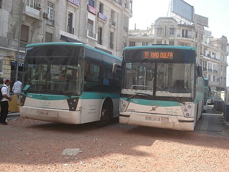 Bus de la ligne 19 m'dina bus.jpg